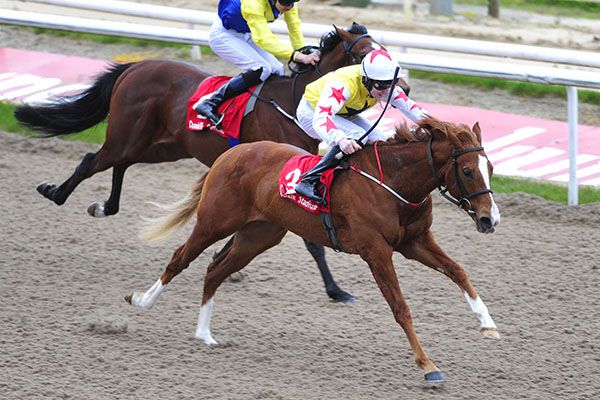 Sirici makes the best way home in Dundalk