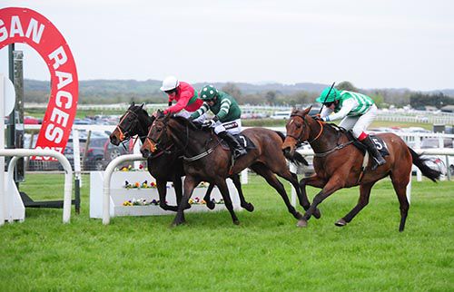 Lambs  Lane (nearside, Luke Bleahen) got up to dead-heat with Ben Brody (rail) with Peacocks Secret  between them
