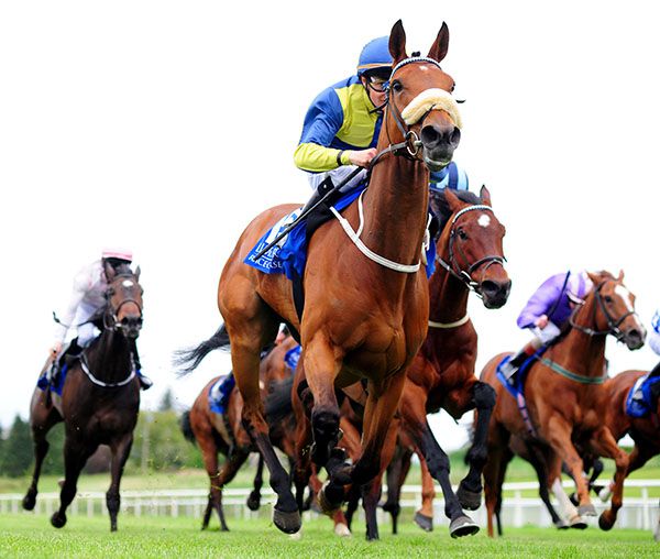 Surrounding approaches the winning post in Limerick