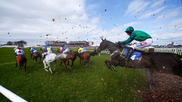                         Ayr racecourse
