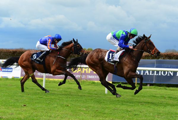 Vociferous Marina winning at Navan
