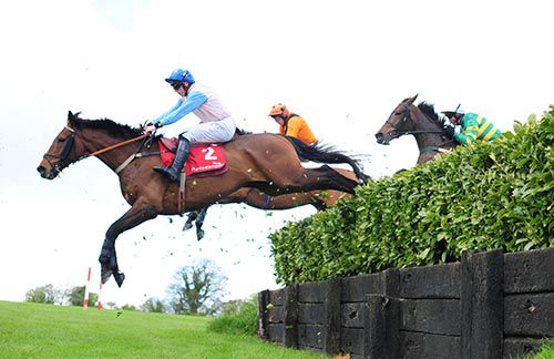 Enniskillen and Jamie Codd jump the Laurel Hedge on their way to victory at Punchestown in 2017