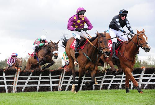 Magic  Of Light (noseband) on her way  to chasing down A Rated and Blast Of Koeman