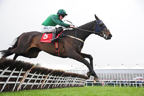 C'Est  Jersey and  Paul  Townend