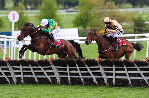 Unowhatimeanharry leads Nichols Canyon