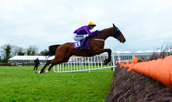 Wicklow Brave