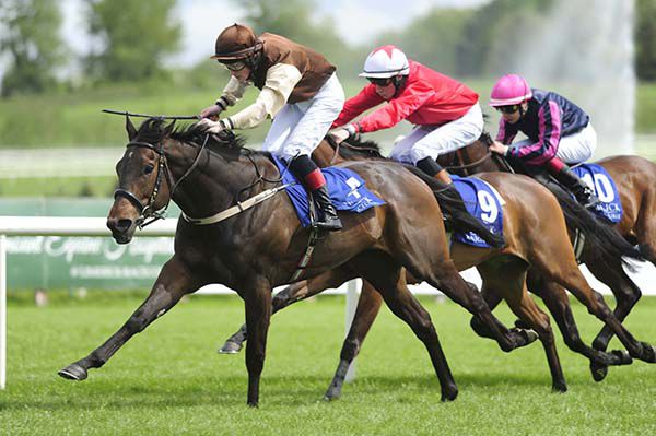 Dandys Gold leads home Malibu Magic and Ribbontail Way 