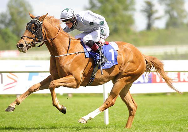 Hailstone and Dylan Hogan 