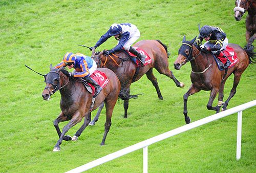 Somehow winning in Gowran