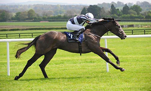 Alpha Centauri and Colm O Donoghue 