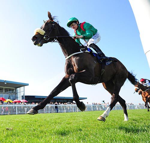 Rehana and Shane Foley