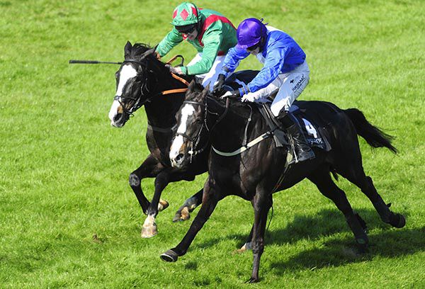 Camillas Wish, near side, fends off Chosen Dream at Down Royal