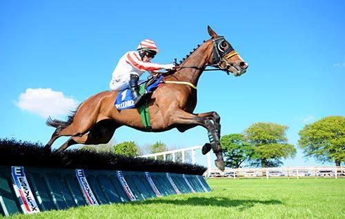 Dodgybingo and Sean  Flanagan