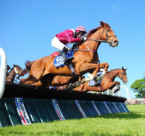 Andratx  and Derek  Fox