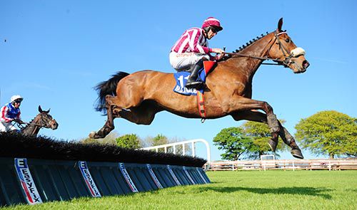 Political  Theatre and Davy Russell