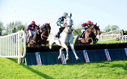 Grey Mountain Mist  and Paul Townend lead them home