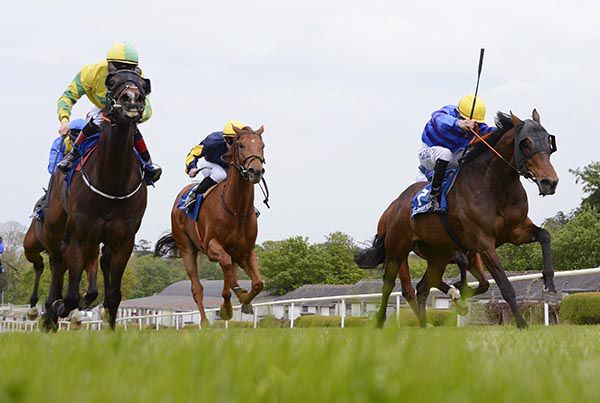 Indian Tomahawk (right) grabs Specific Gravity