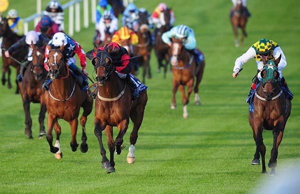 Micras (right) pips Talsara (middle)