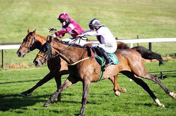 Fly Rory Fly, near side, goes past Polymath in Downpatrick