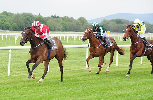Mamba Noire pictured on her way to victory at Cork