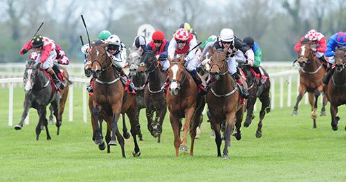 Mademoiselle Penny and Robbie Downey (left, black and white colours)