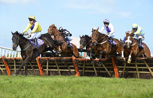 Drakaina (yellow) leads her rivals over the last