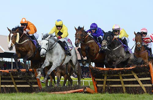 Soul Season (blue) is coming with his challenge under James O'Sullivan