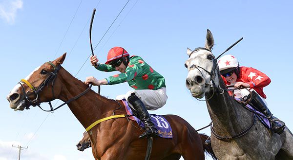 Iamastartoo (red cap) leads eventual winner Jennys Grey in the closing stages