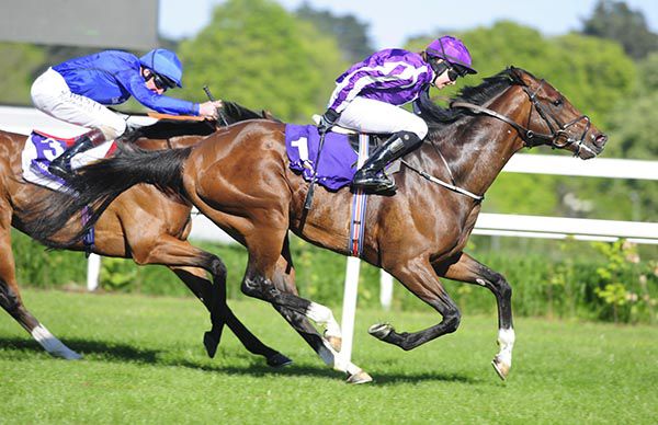 Belgravia and Ana O'Brien prevail over  Clongowes and Kevin Manning