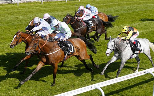 White face, Montaly, gets up to win the Chester Cup under Oisin Murphy