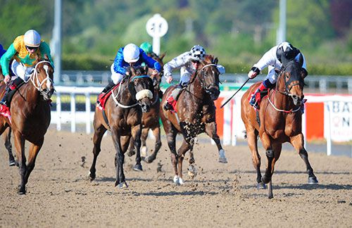 Fasuba (hood) begins to assert under Chris Hayes