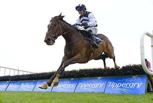 Rebelion Boy (Robbie Power) winning at Tipperary
