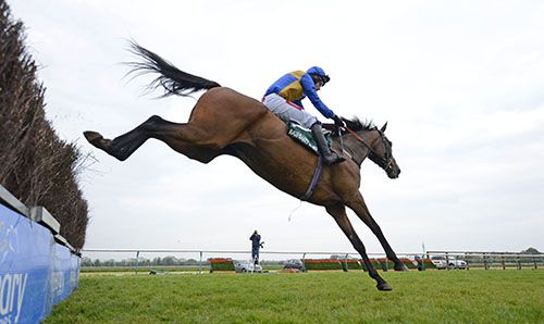 Royal Tara and Derek  O'Connor