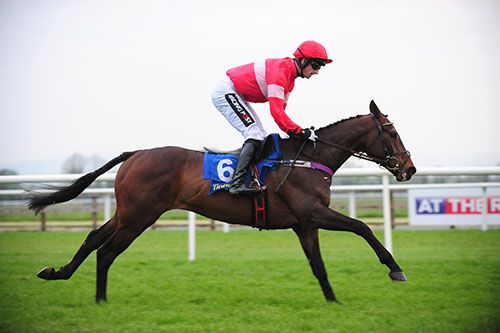 Patrick Mullins on Fabulous Saga