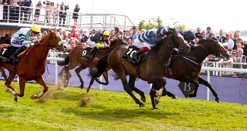Western Hymn (nearside) comes to beat US Army Ranger