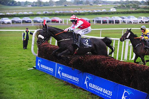 Black Zambezi clears the last under Roger Loughran