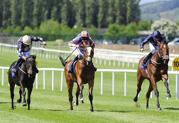 Actress (centre) stays on best under Donnacha O'Brien