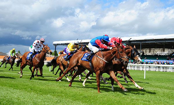Gopsies Daughter (nearest) just holds off Palavicini Run 