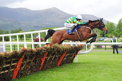 Act In Time clears the last under Mark Walsh