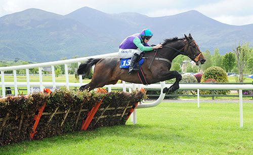 St Stephens Green and David Mullins pictured on their way to victory