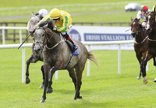 Mawaady is ridden out by Colin Keane