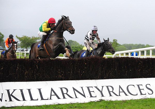 Sizing Solution and Jamie Codd lead over the last