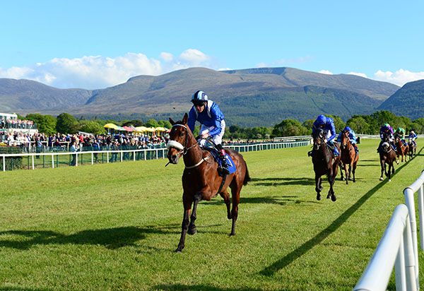 Beautiful scenery and beautiful for favourite backers as Muzbid leads them home under Pat Smullen