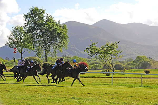 Bumbasina and Billy Lee make the best of their way hope from Angel Island (Chris Hayes)