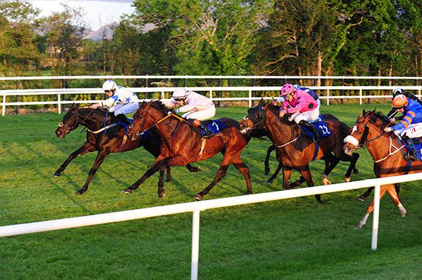 On the outside Shinghari leads them home  under Killian Hennessy