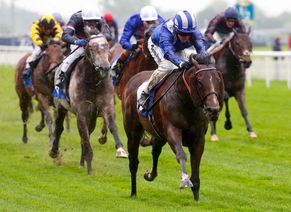 Tasleet is pushed out by Jim Crowley