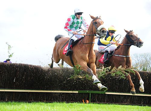 Caolaneoin (nearest) and Shadow Catcher get over the last