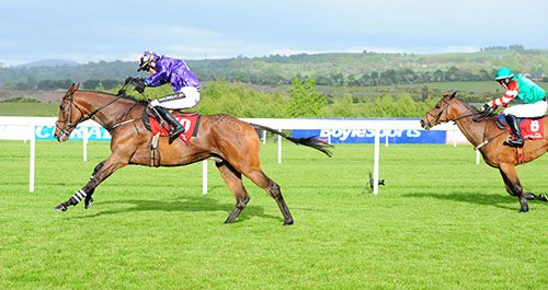 Icantsay is ridden out by Danny Mullins to beat Courtncatcher