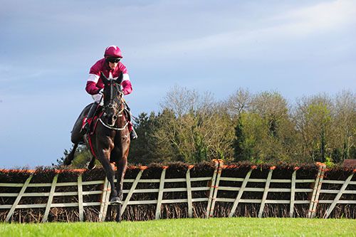 Delta Work and Bryan Cooper pictured on their way to victory