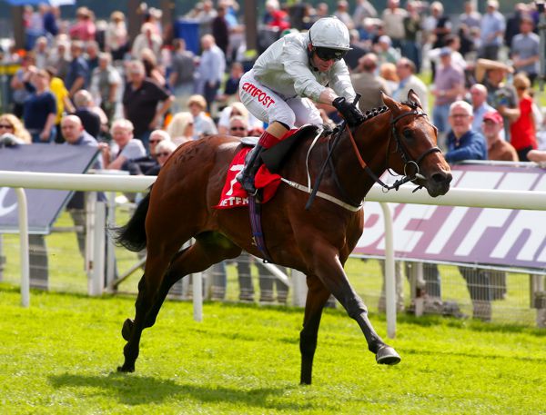 Permian is ridden out by Franny Norton